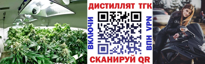 Дистиллят ТГК гашишное масло  Купить где  Нижний Ломов 