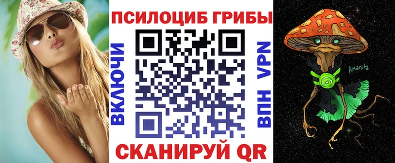 Купить  Нижний Ломов  Псилоцибиновые грибы GOLDEN TEACHER 
