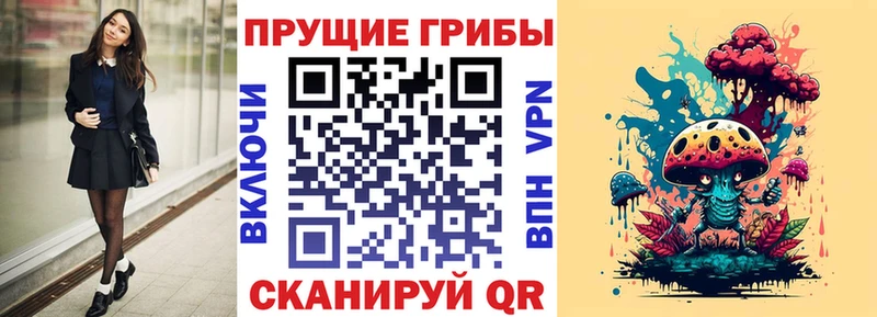 Галлюциногенные грибы Psilocybe Нижний Ломов